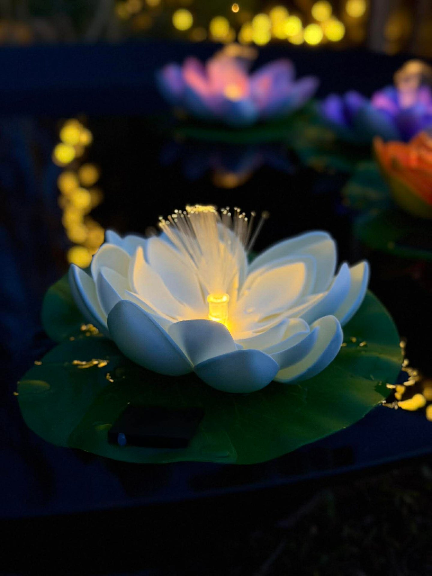 Lotus mit Solar - Verschiedene Farben