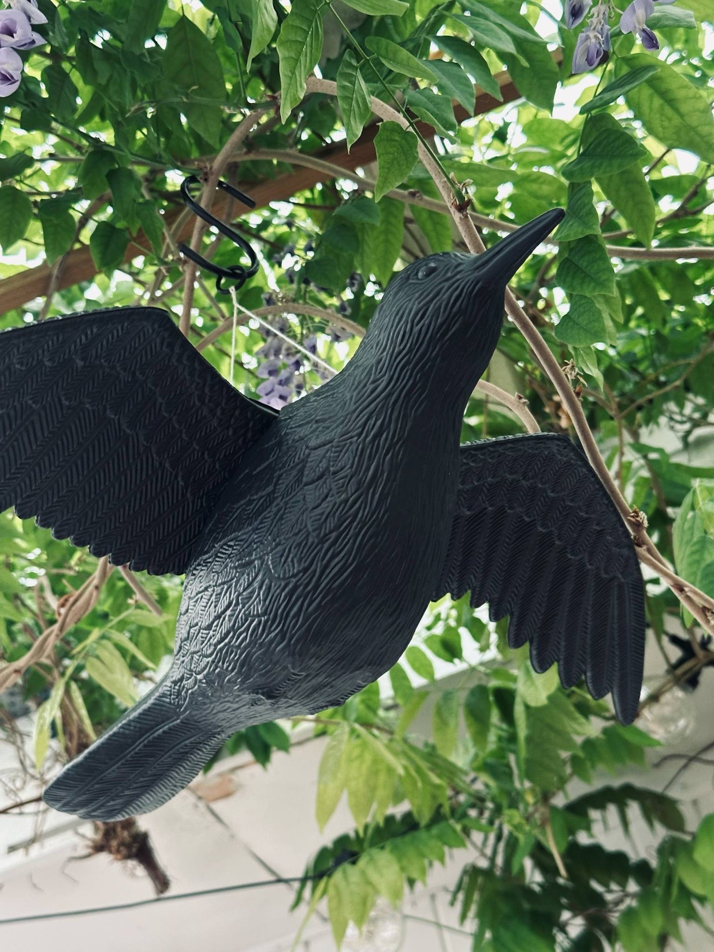 Vogel - RAVEN BLACK