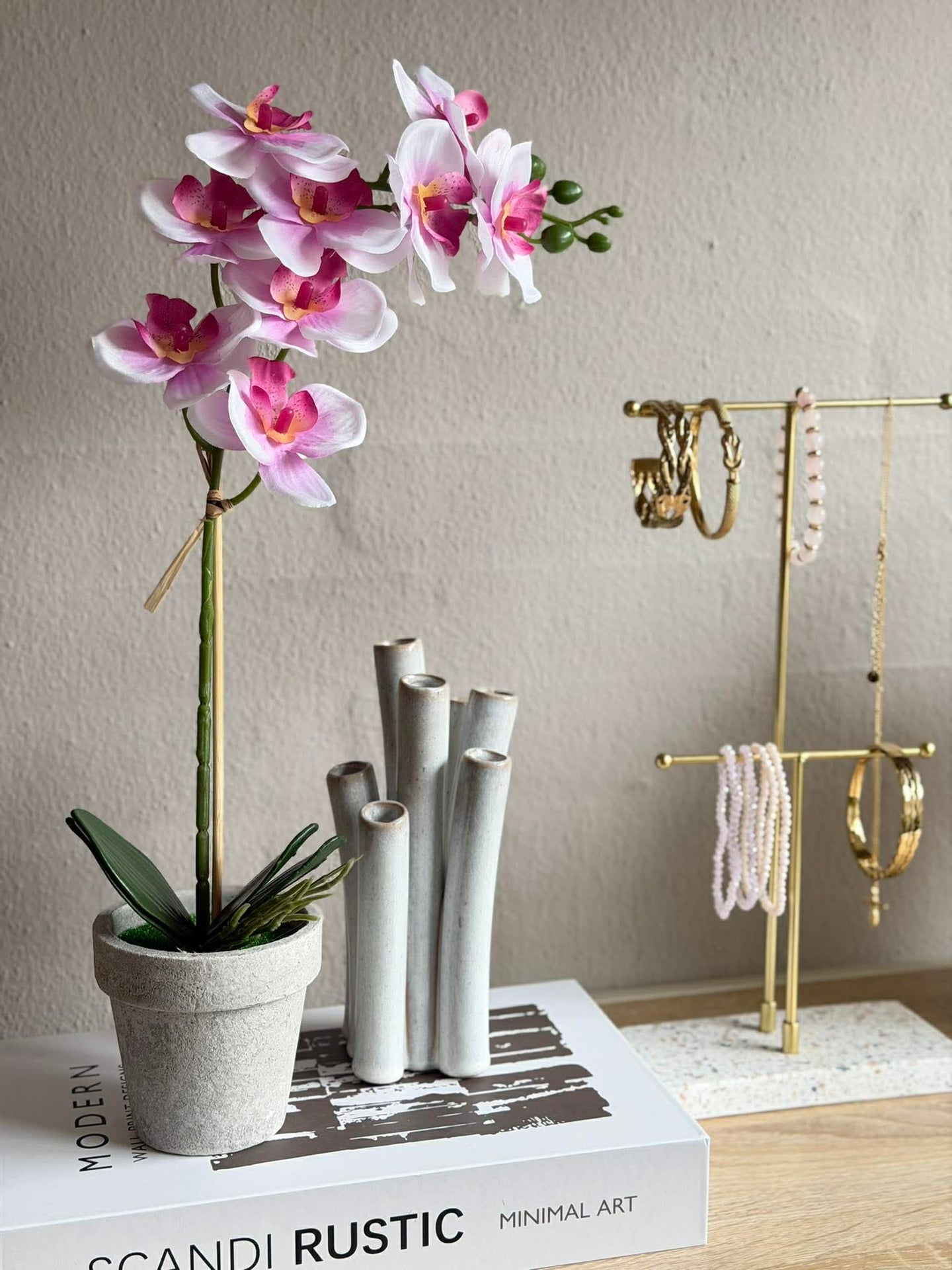 Orchidee im Topf - Mehrere Farben
