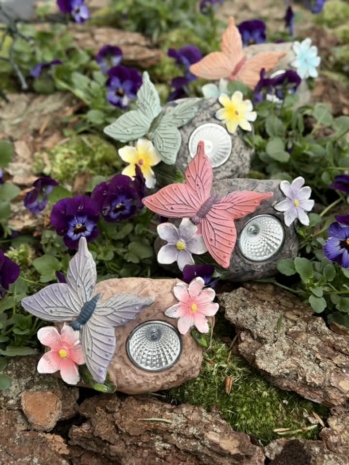 Solarstein mit Schmetterling - COLOR MIX