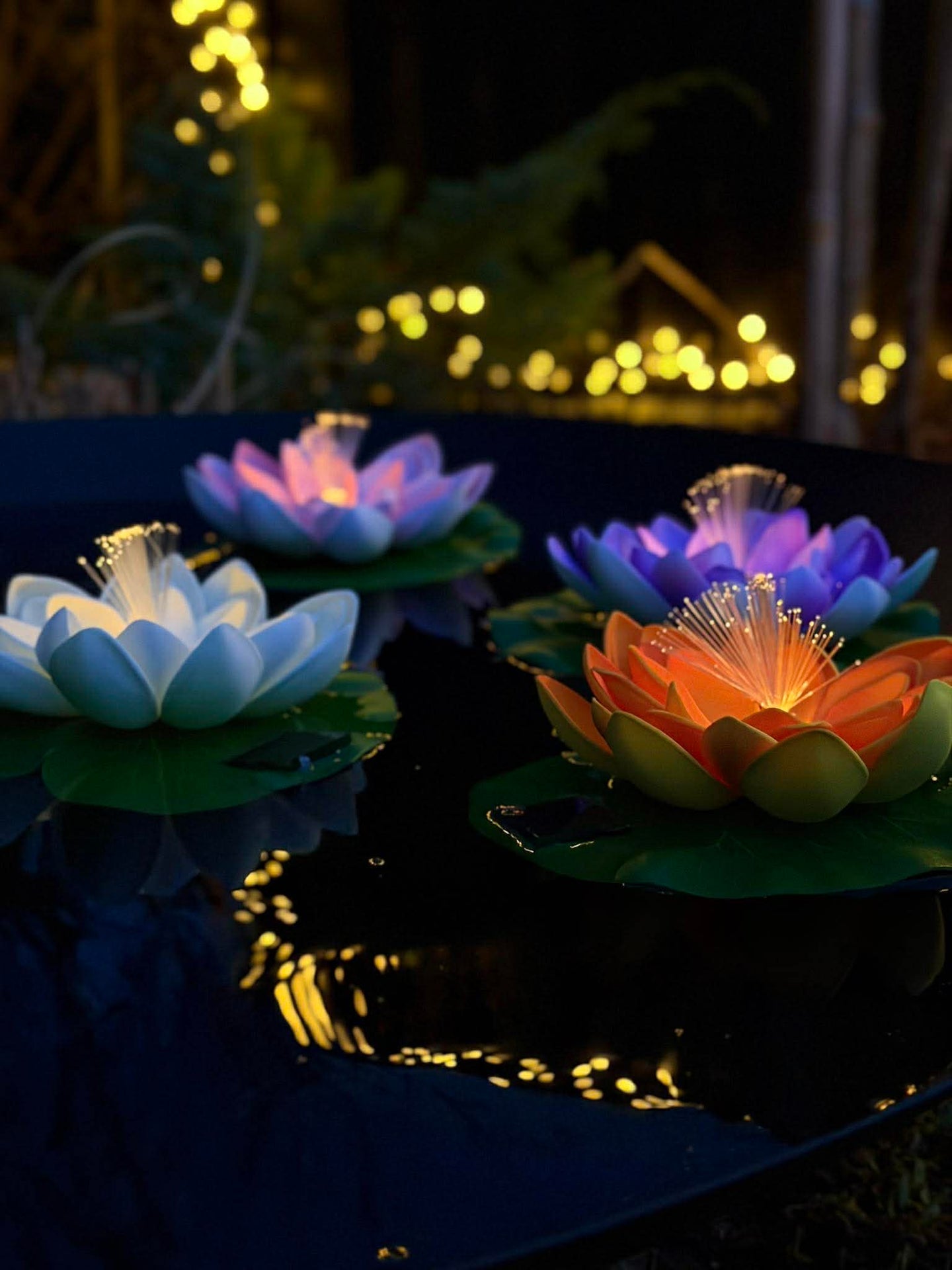 Lotus mit Solar - Verschiedene Farben