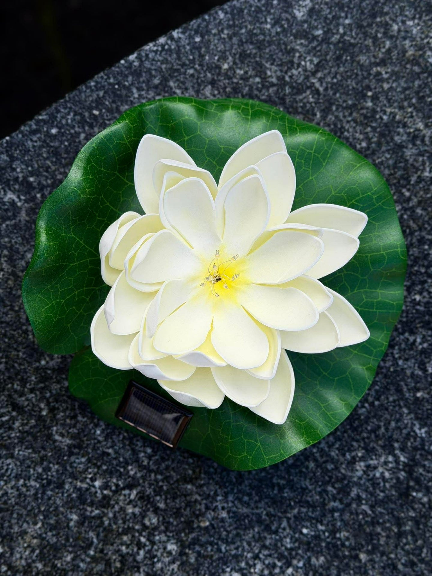 Solar LOTUS – Weiß