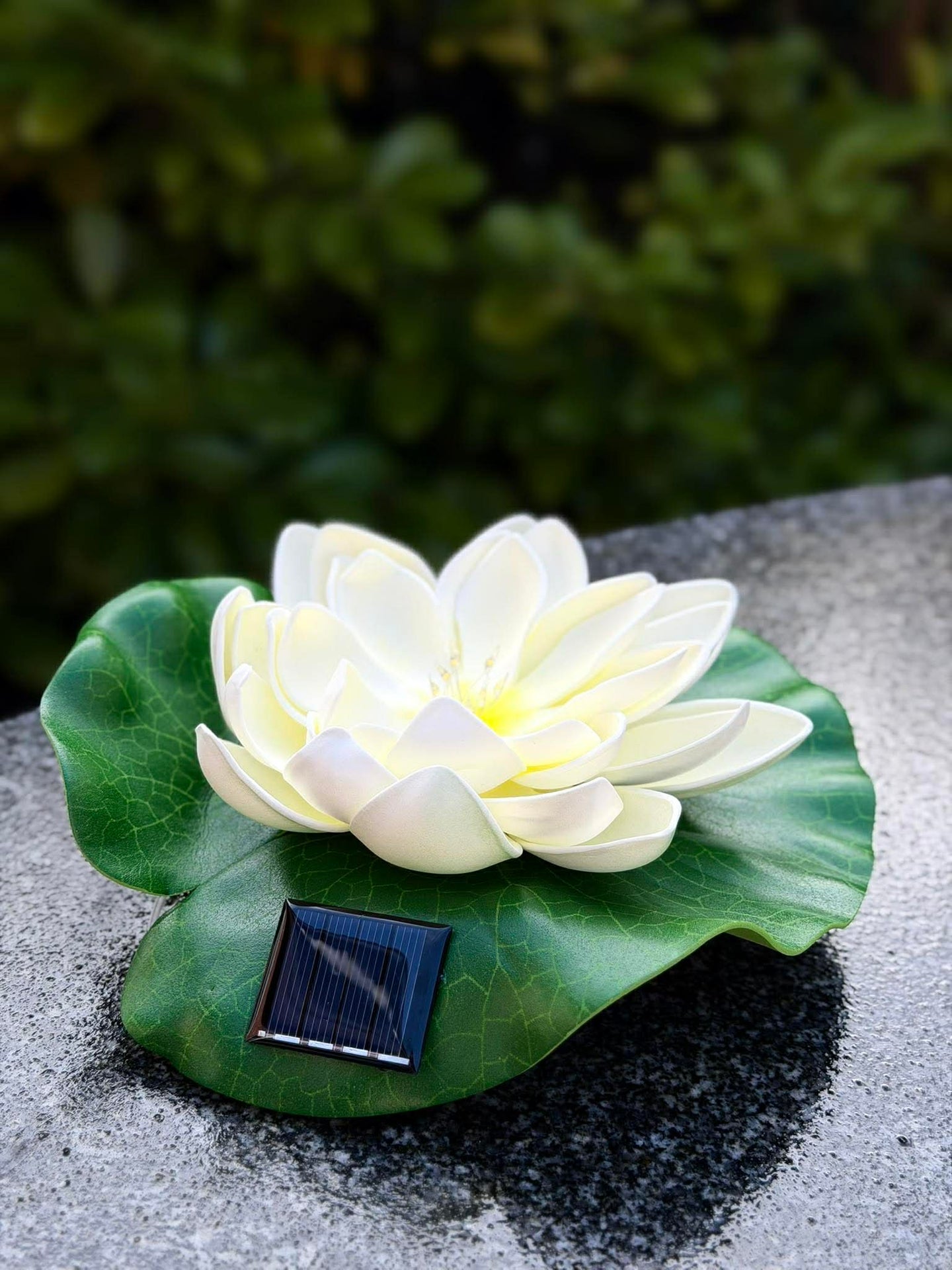 Solar LOTUS – Weiß