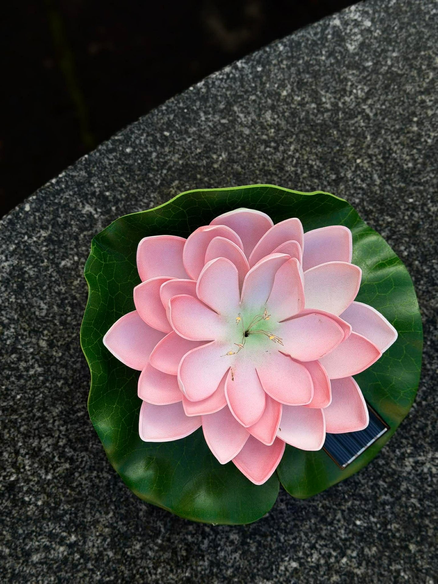 Solar LOTUS – Rosa