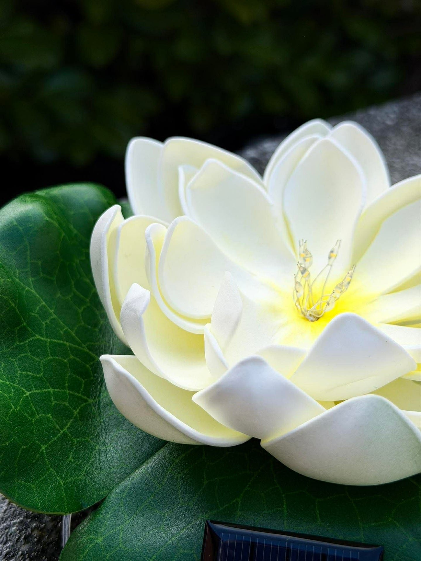 Solar LOTUS – Weiß