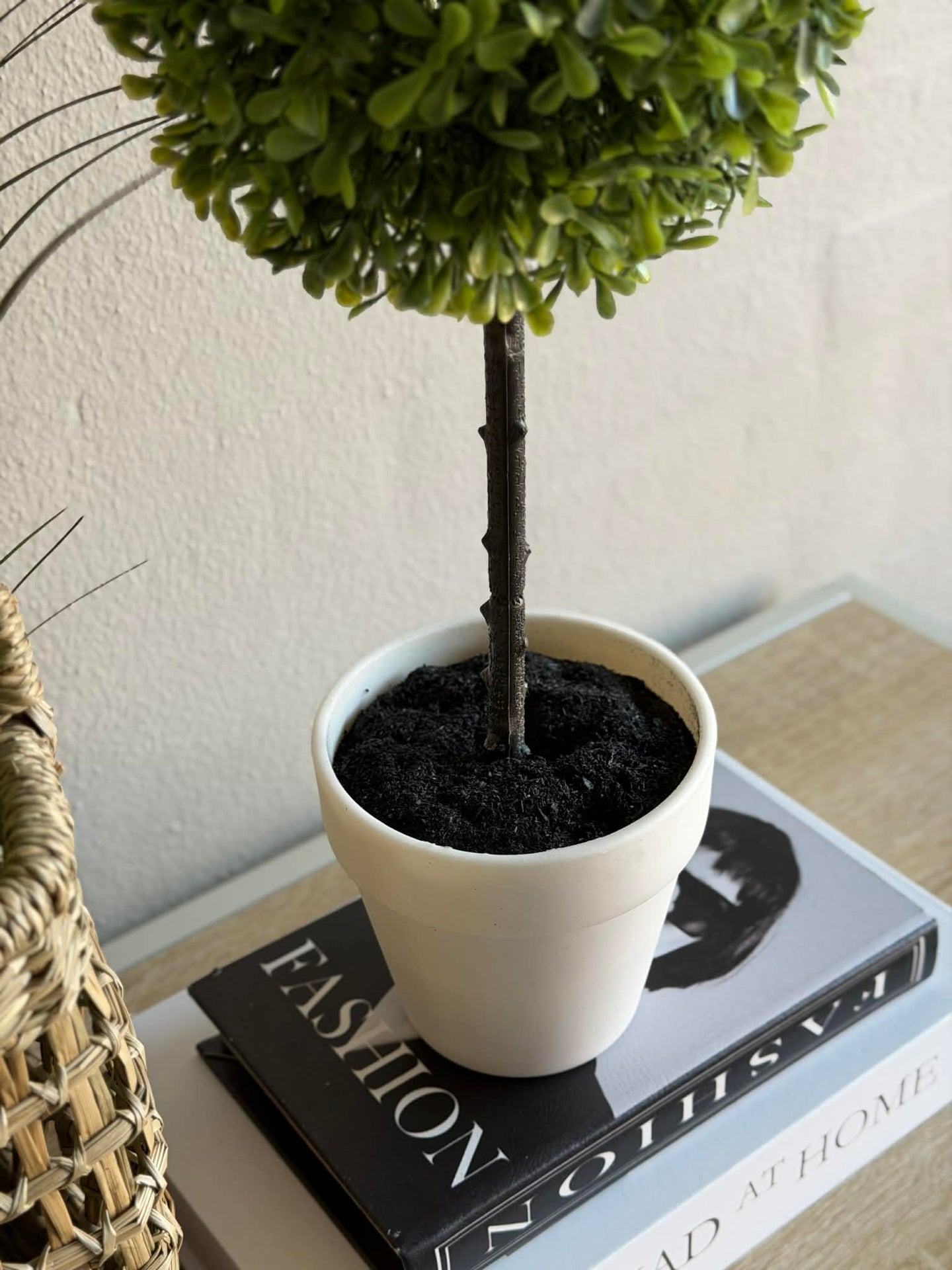 Auf Stamm gezogener Baum