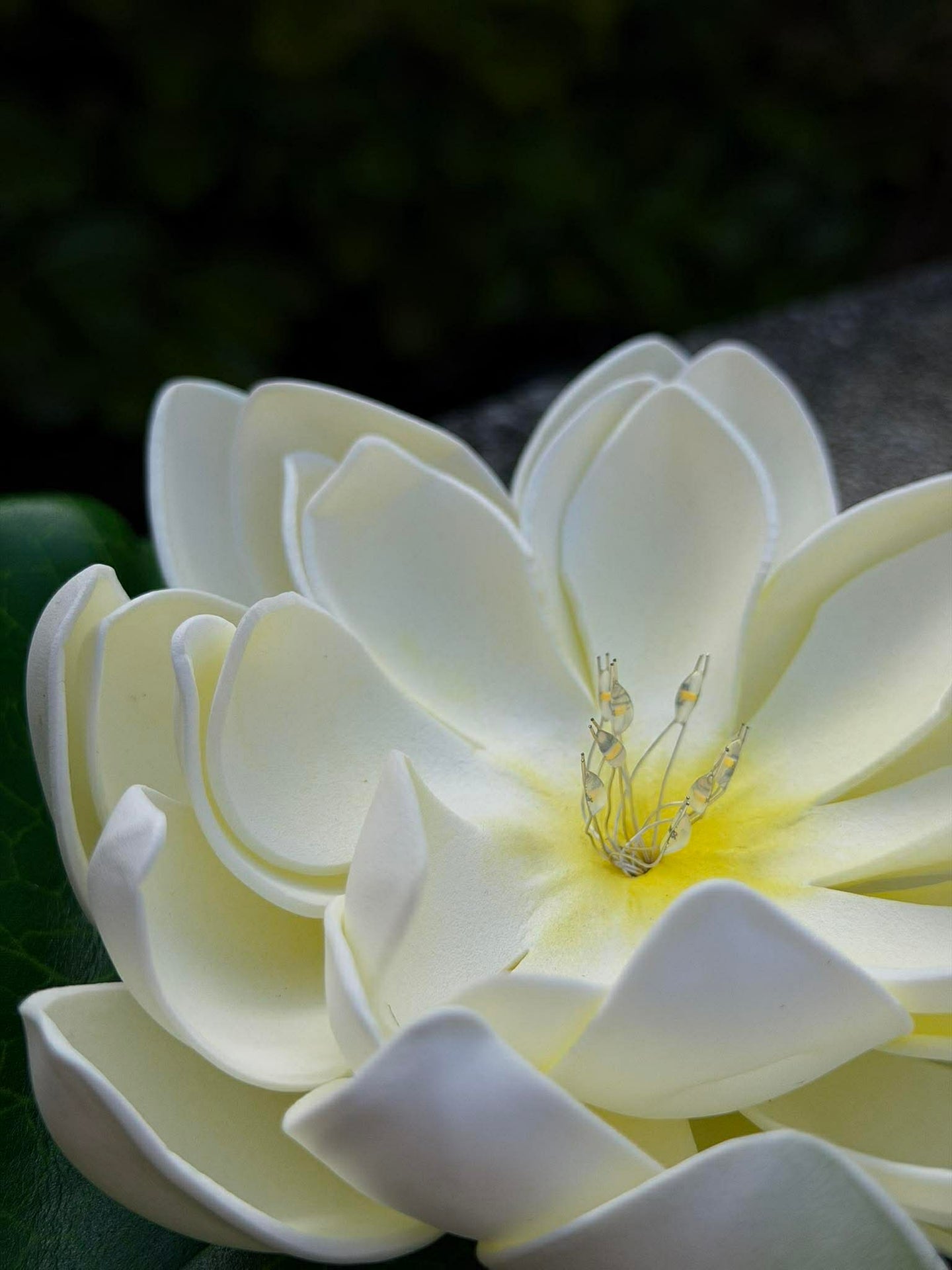 Solar LOTUS – Weiß