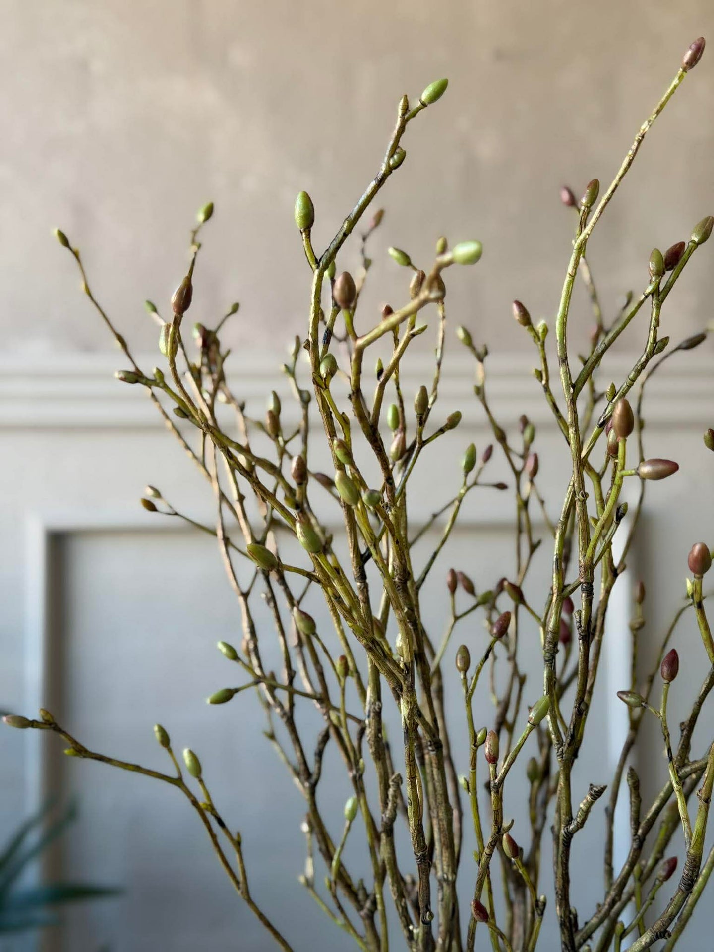 Zweig mit Knospen - Bund mit 3 Zweigen