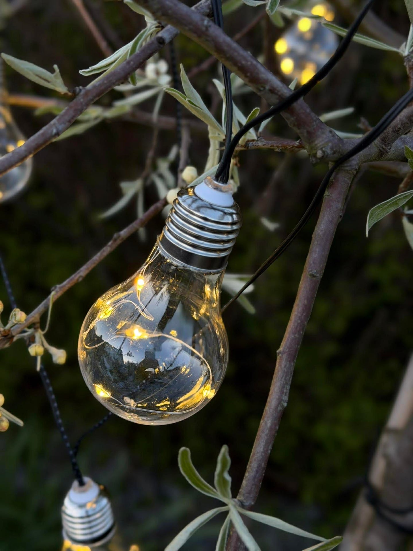 Lichterkette für Innen und Außen