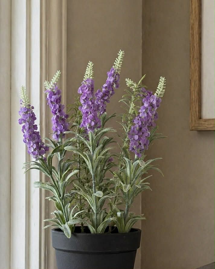 Lila Blume im Topf