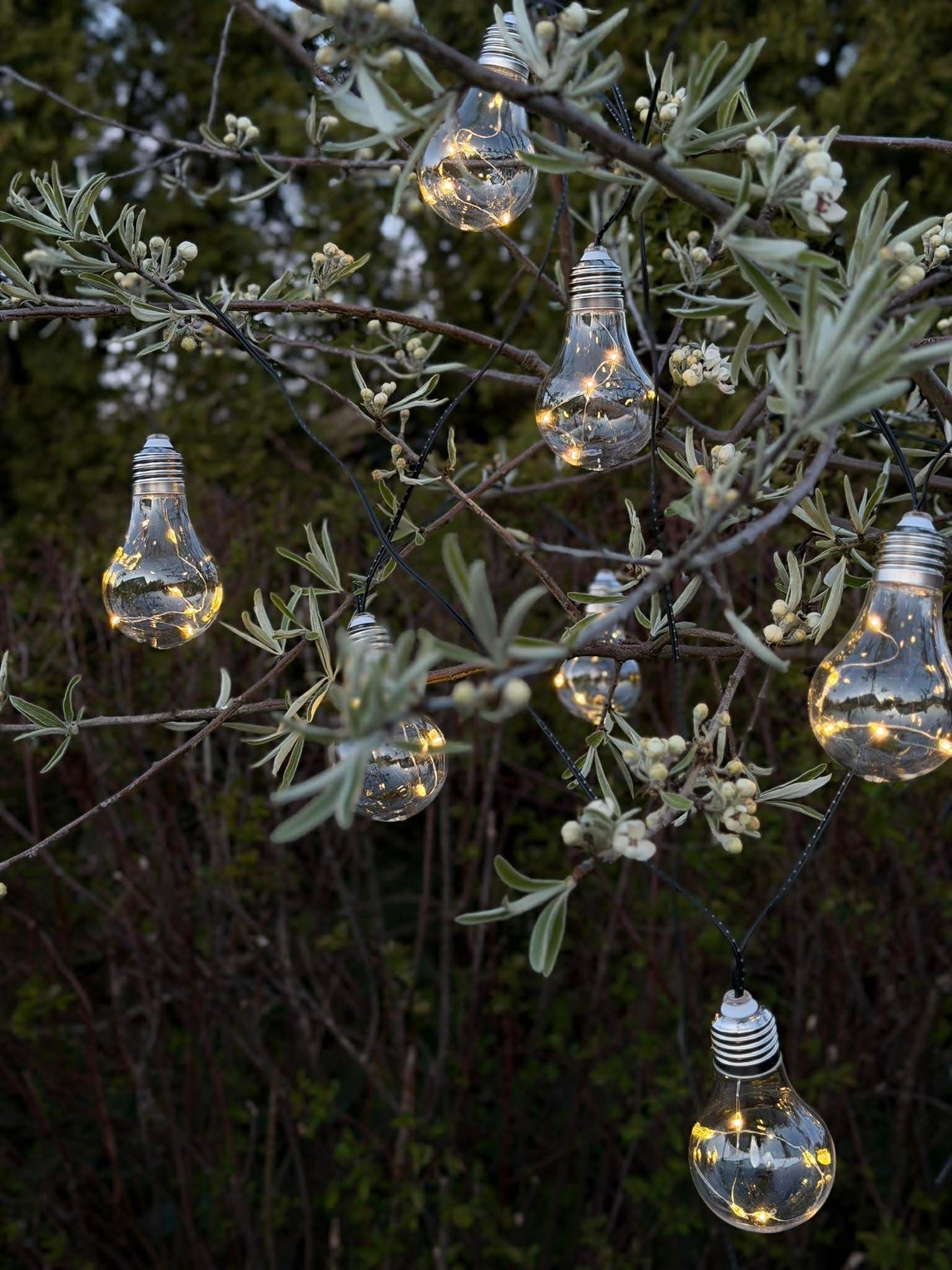 Lichterkette für Innen und Außen