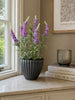 Lila Blume im Topf