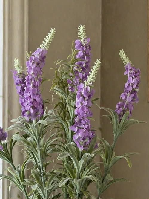 Lila Blume im Topf