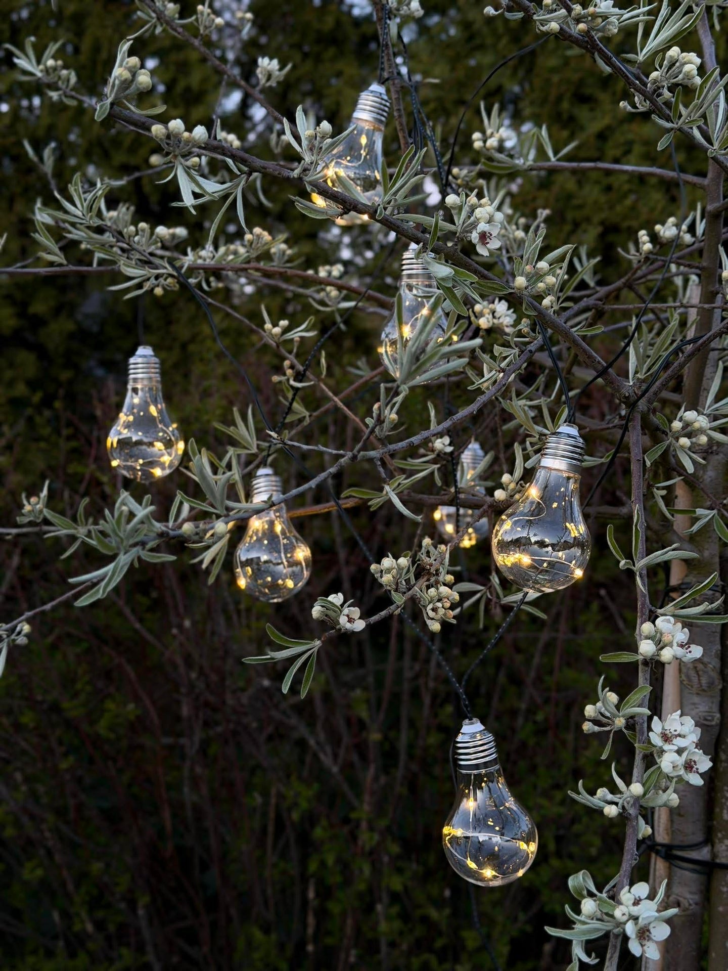 Lichterkette für Innen und Außen