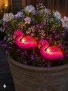 Flamingo am Spieß - Solar