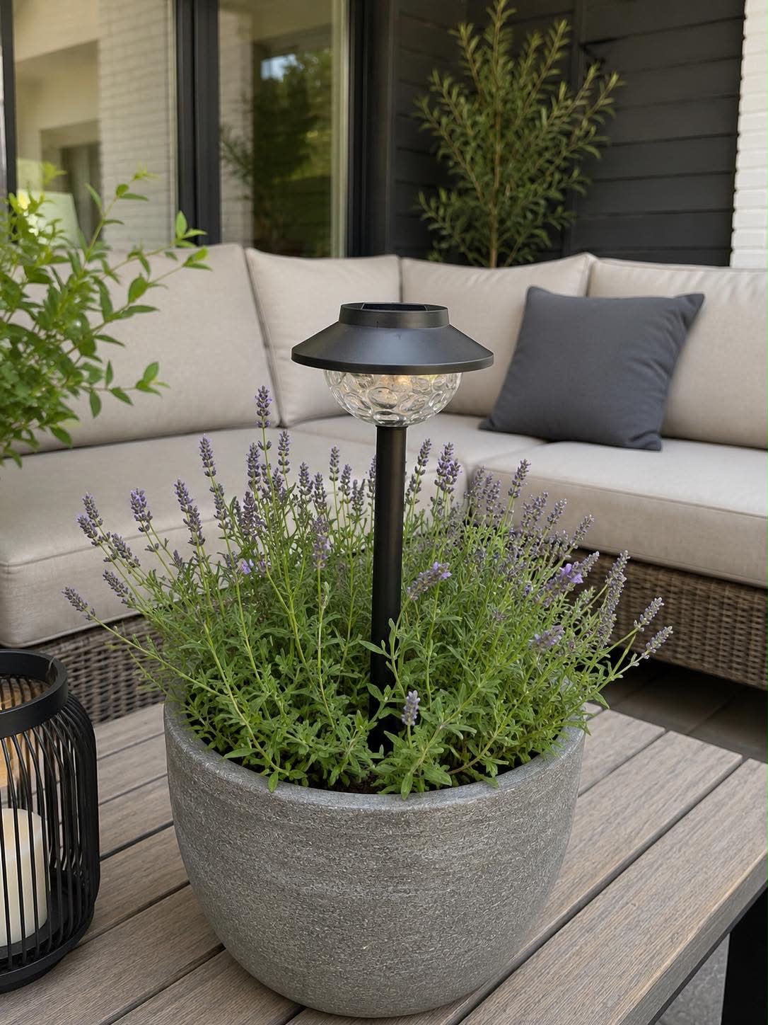 Gartenlampe Joyce solar