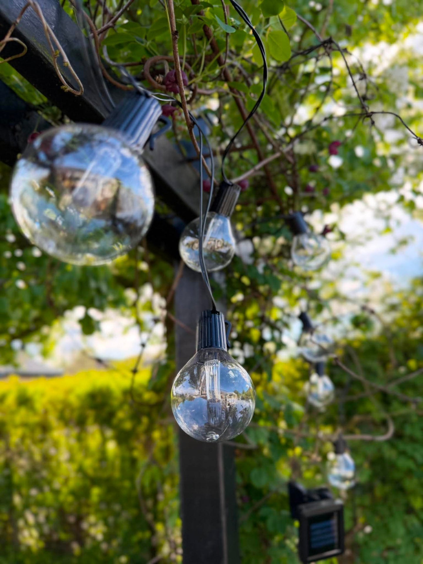 Lichterkette Sasline mit Solarmodul