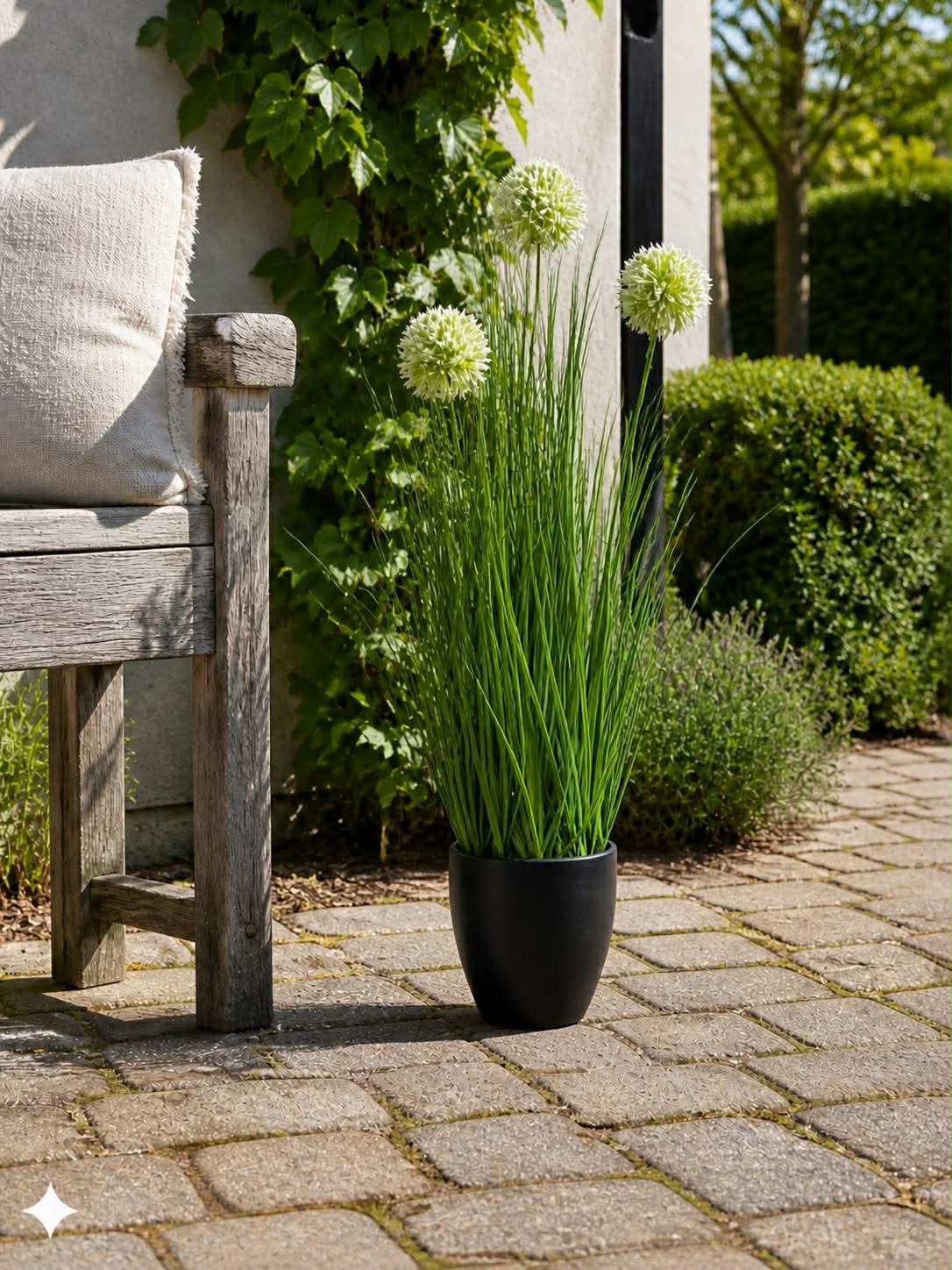 Gras und Alliumblumen im Topf