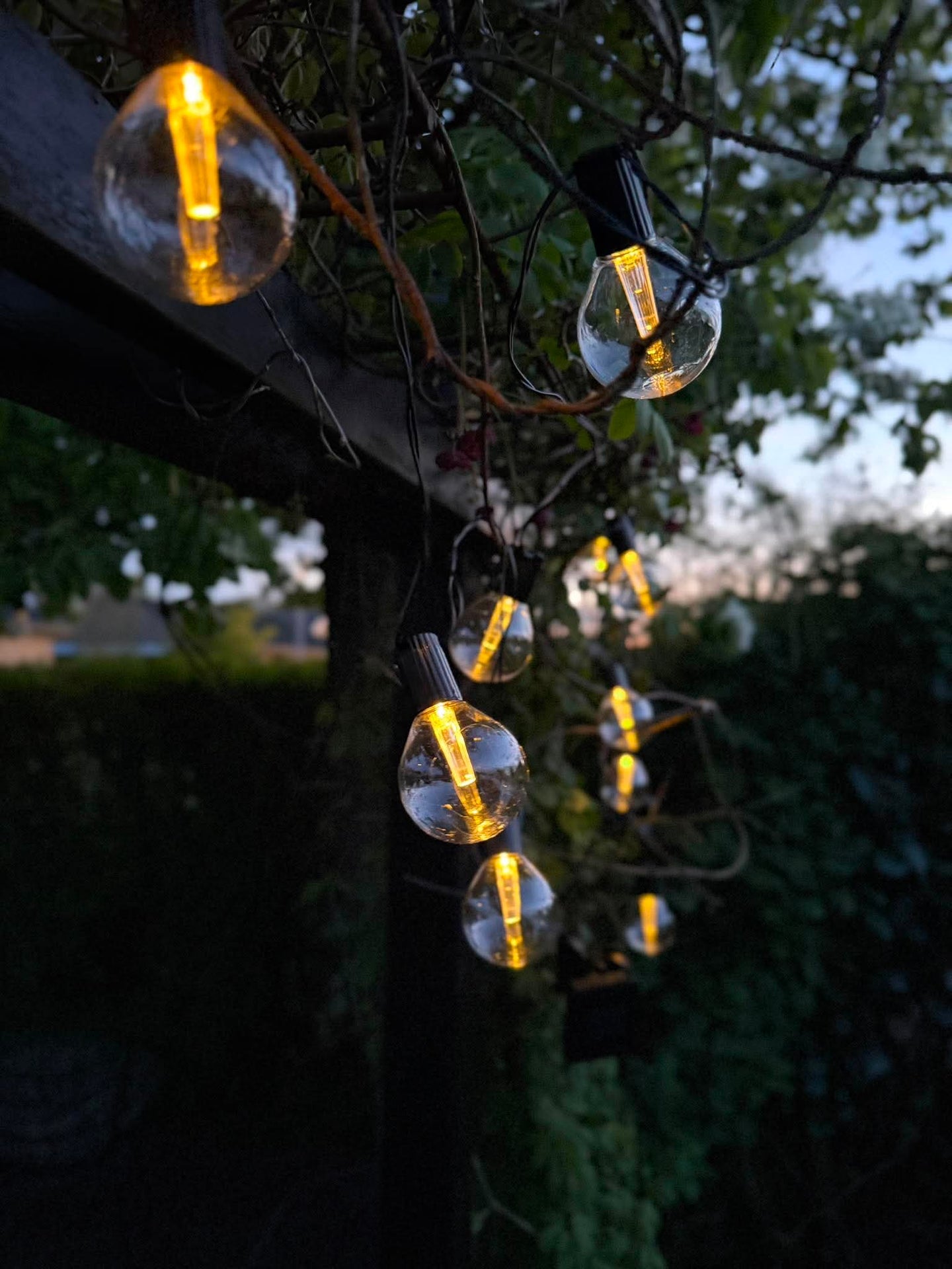 Lichterkette Sasline mit Solarmodul