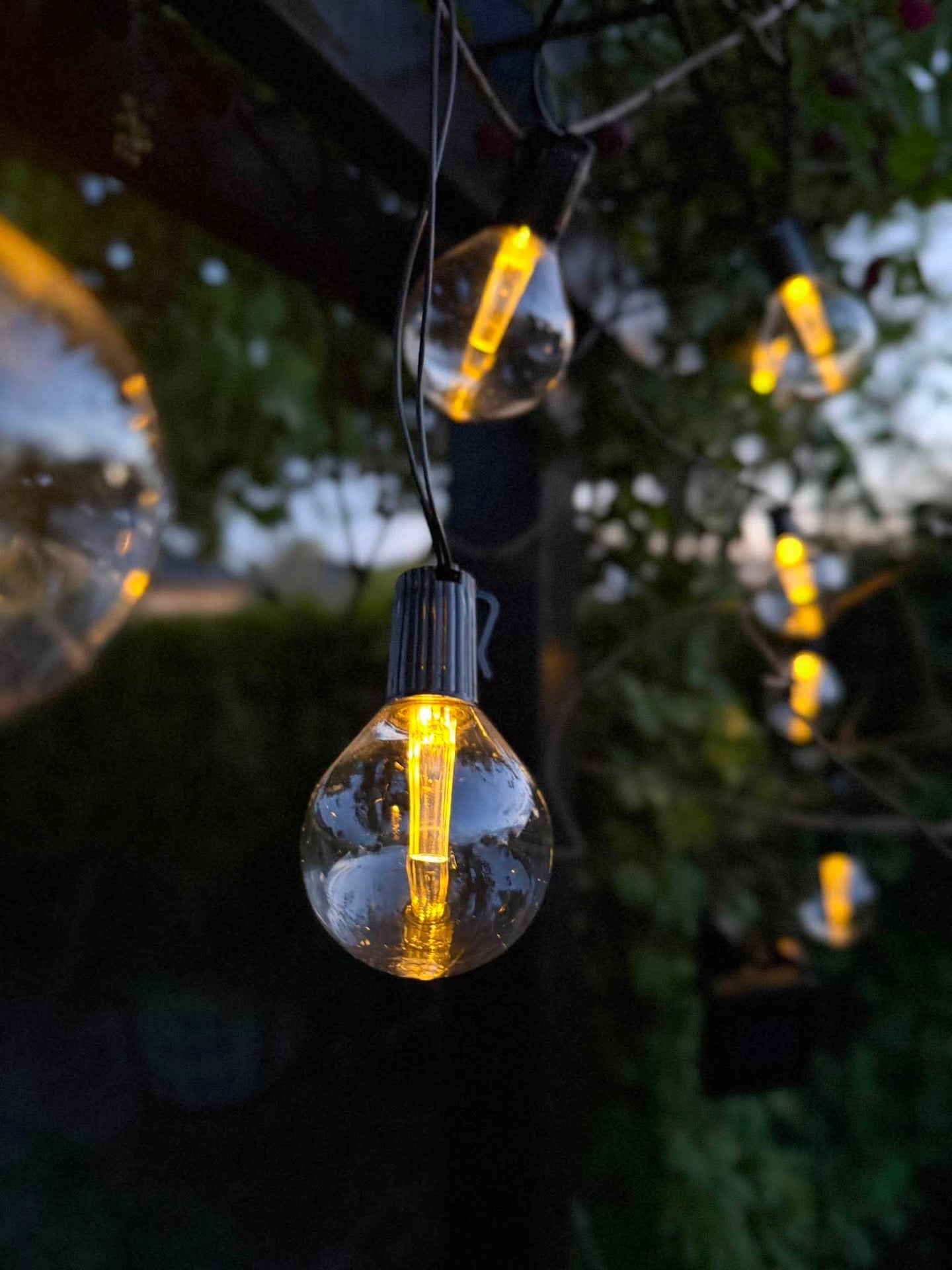 Lichterkette Sasline mit Solarmodul