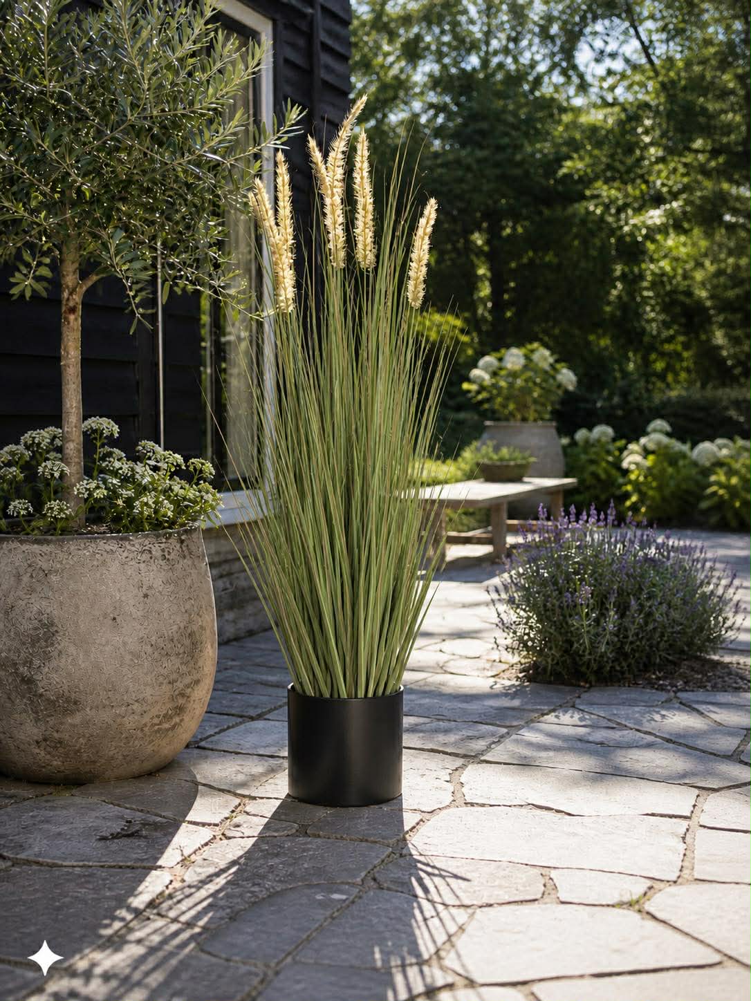 Pampas im Topf - 91 cm