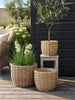 Pflanzkörbe RATTAN Natur – Set mit 3 Größen