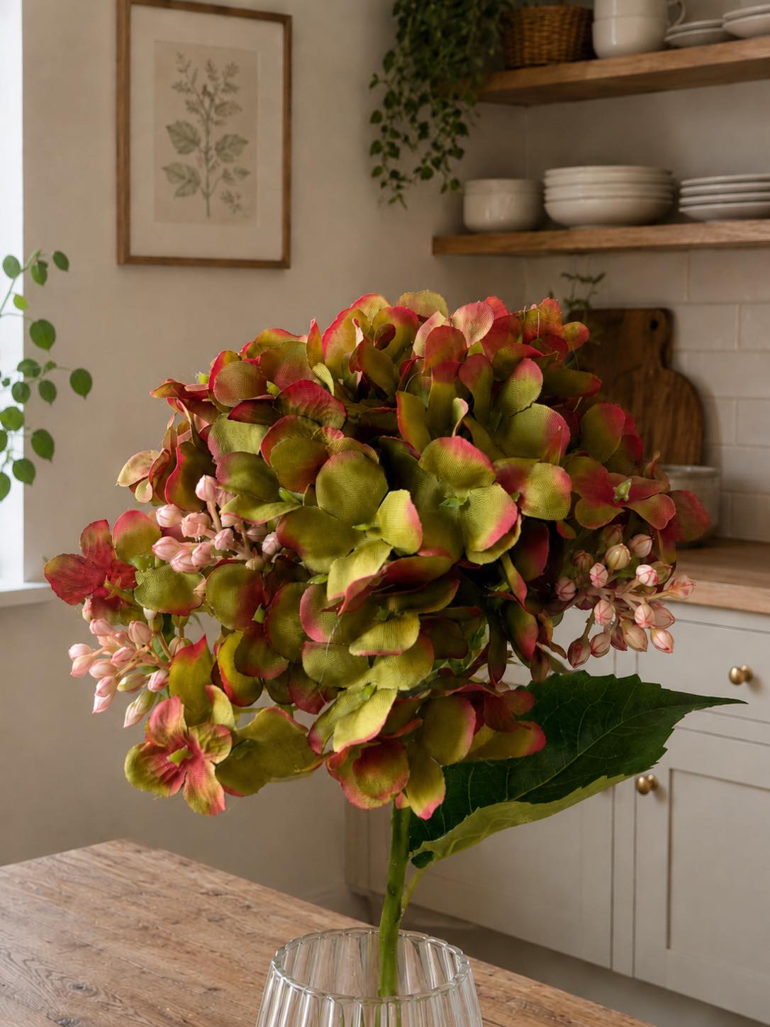 Hortensie grün - 48 cm