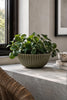 Schale im Beton-Look - Grün 20 cm