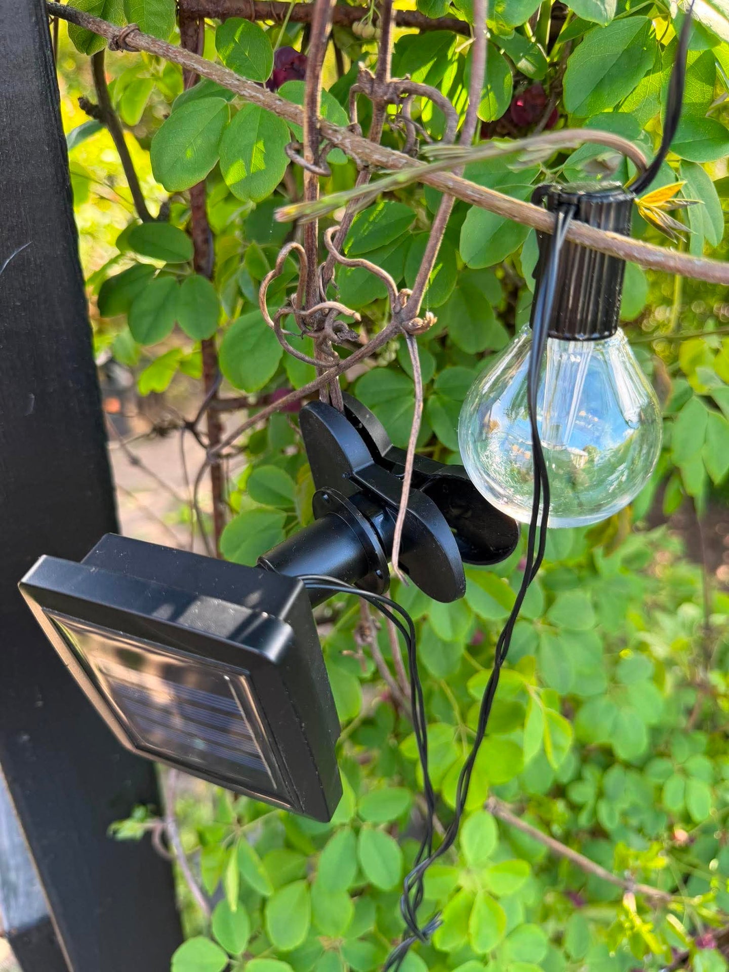 Lichterkette Sasline mit Solarmodul