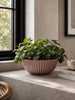 Schale im Beton-Look - Rosa 20 cm