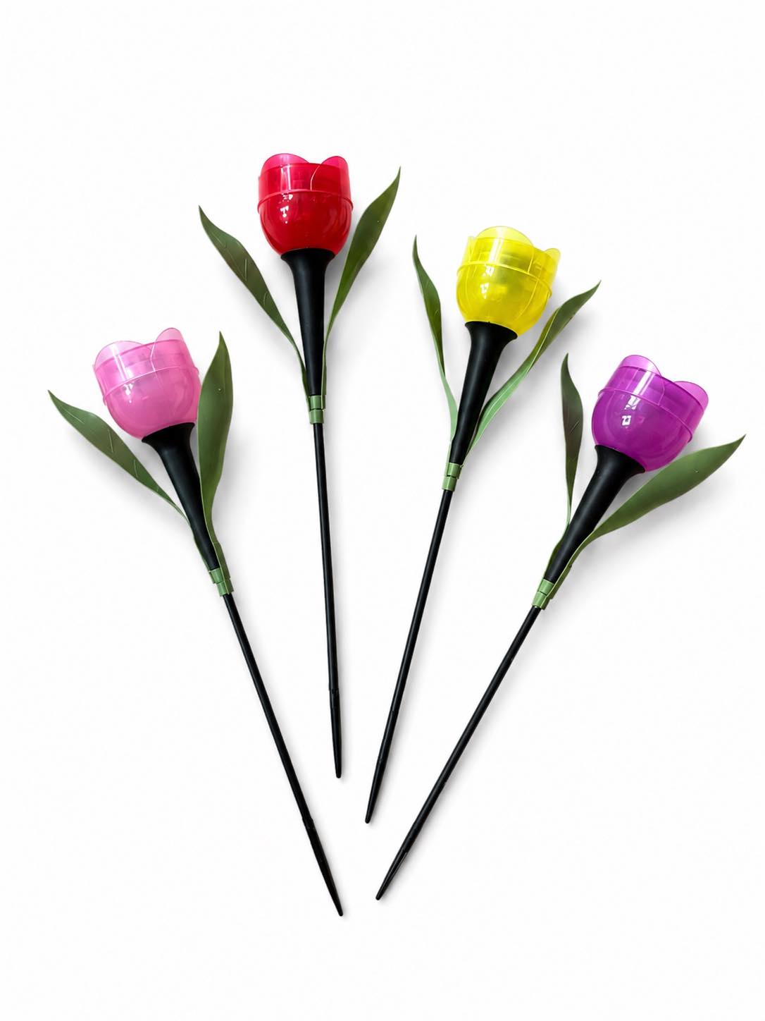 Tulipan Solar - Mehrere Farben