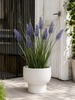 Lupine im Strauß für drinnen und draußen - 70 cm
