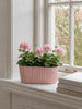 Länglicher Topf im Beton-Look - Rosa