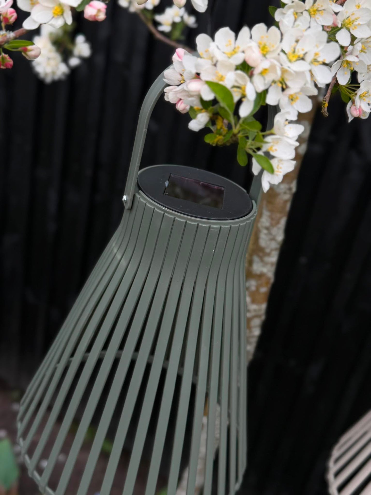 Laterne Emily solar 24 cm - Mehrere Farben