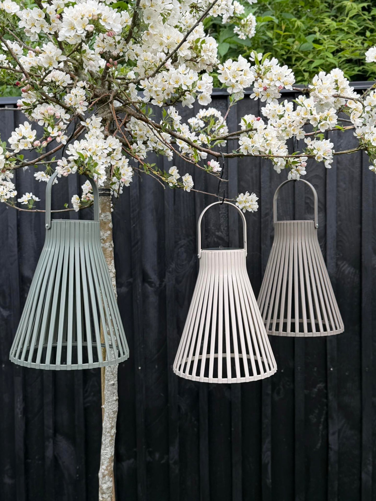 Laterne Emily solar 24 cm - Mehrere Farben