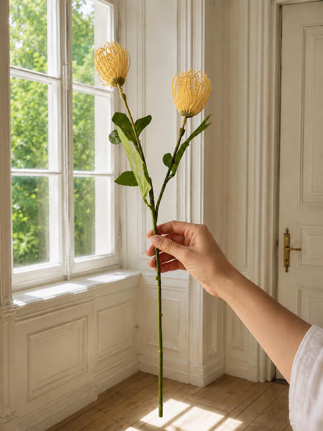 Blumenzweig Chrysantheme - Verschiedene Farben