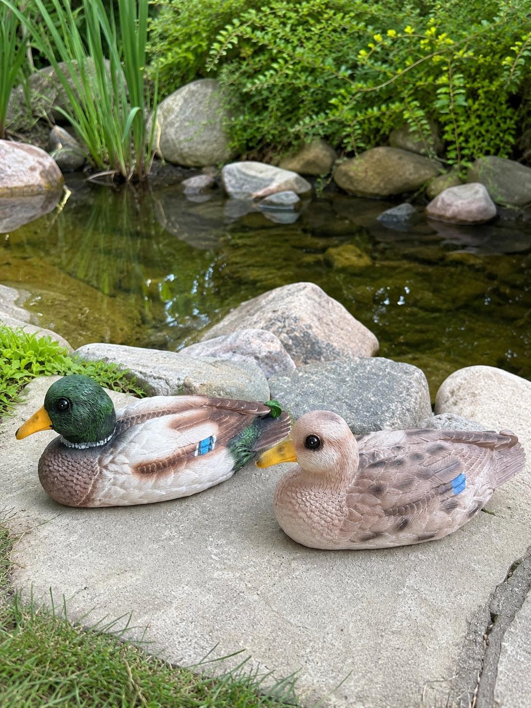 Schwimmende Ente für Gartendekoration - Mix