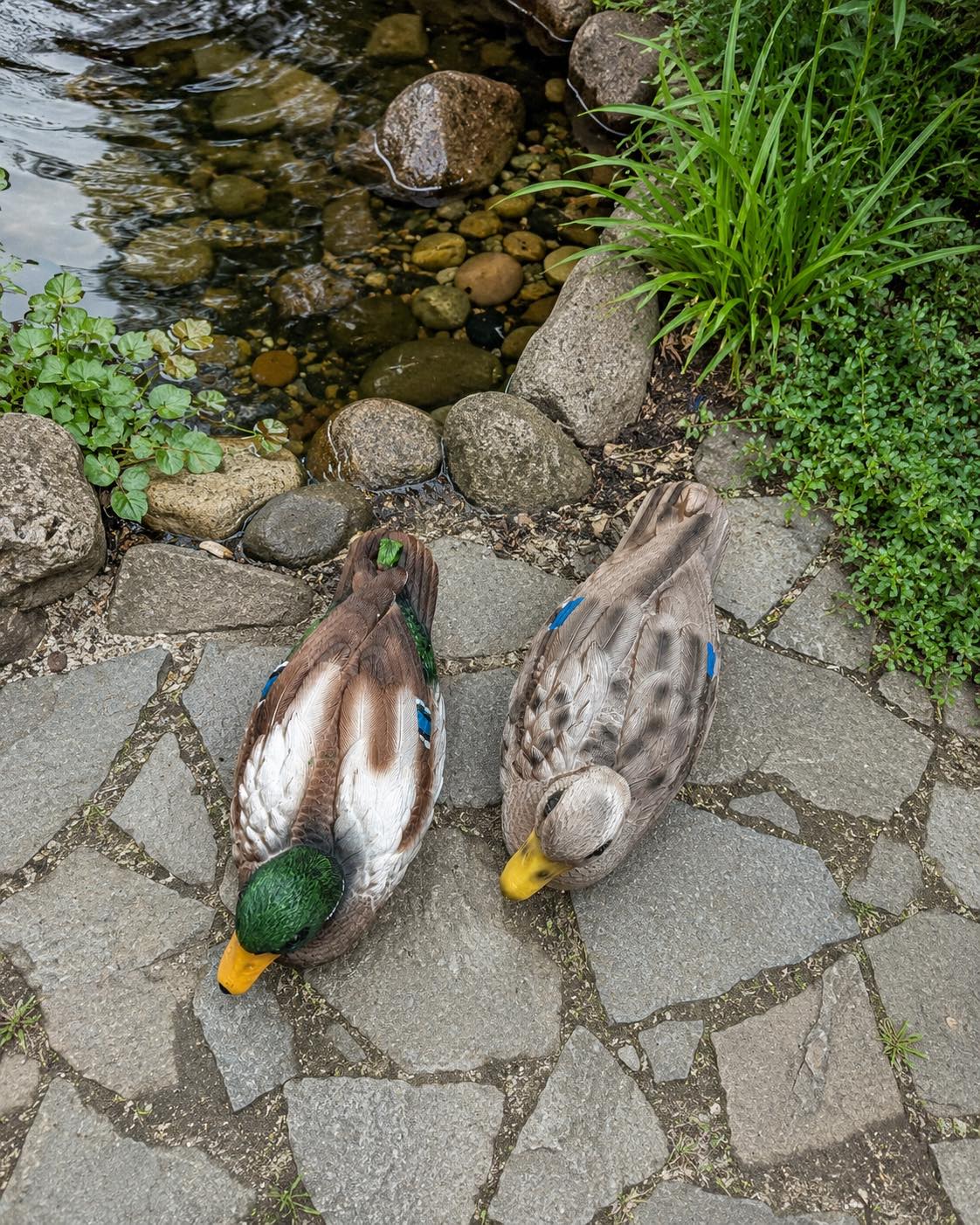 Schwimmende Ente für Gartendekoration - Mix