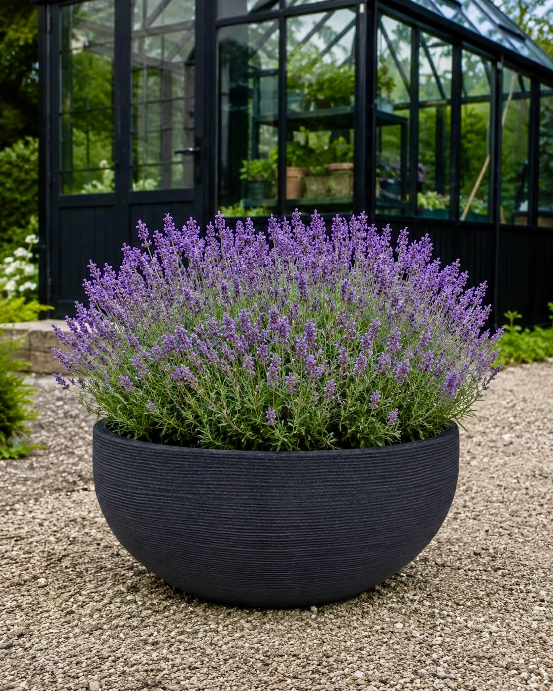 Spiegelbecken black garden