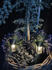 Gartenlampe MIRA mit Solar – Set mit 2 Stück.