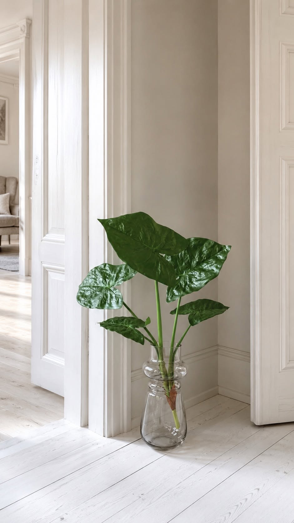 Pflanze Alocasia Big H:79 cm Grün