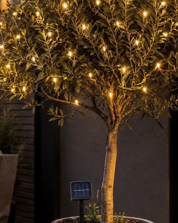 Solar-Lichternetz mit 60 LEDs