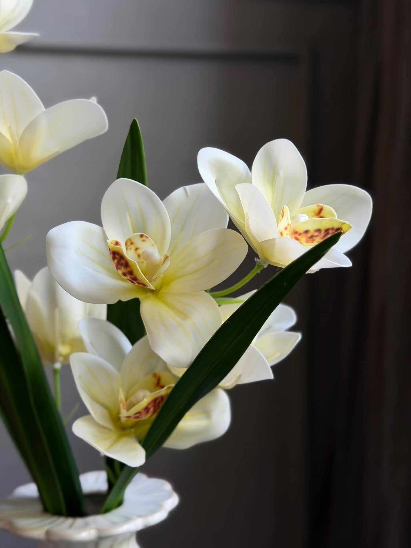 Orchideenstiel - 43 cm Weiß / Gelb