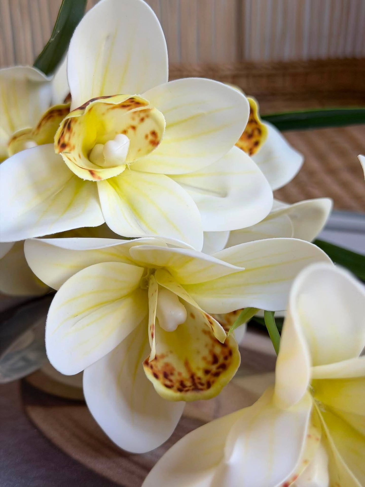 Orchideenstiel - 43 cm Weiß / Gelb