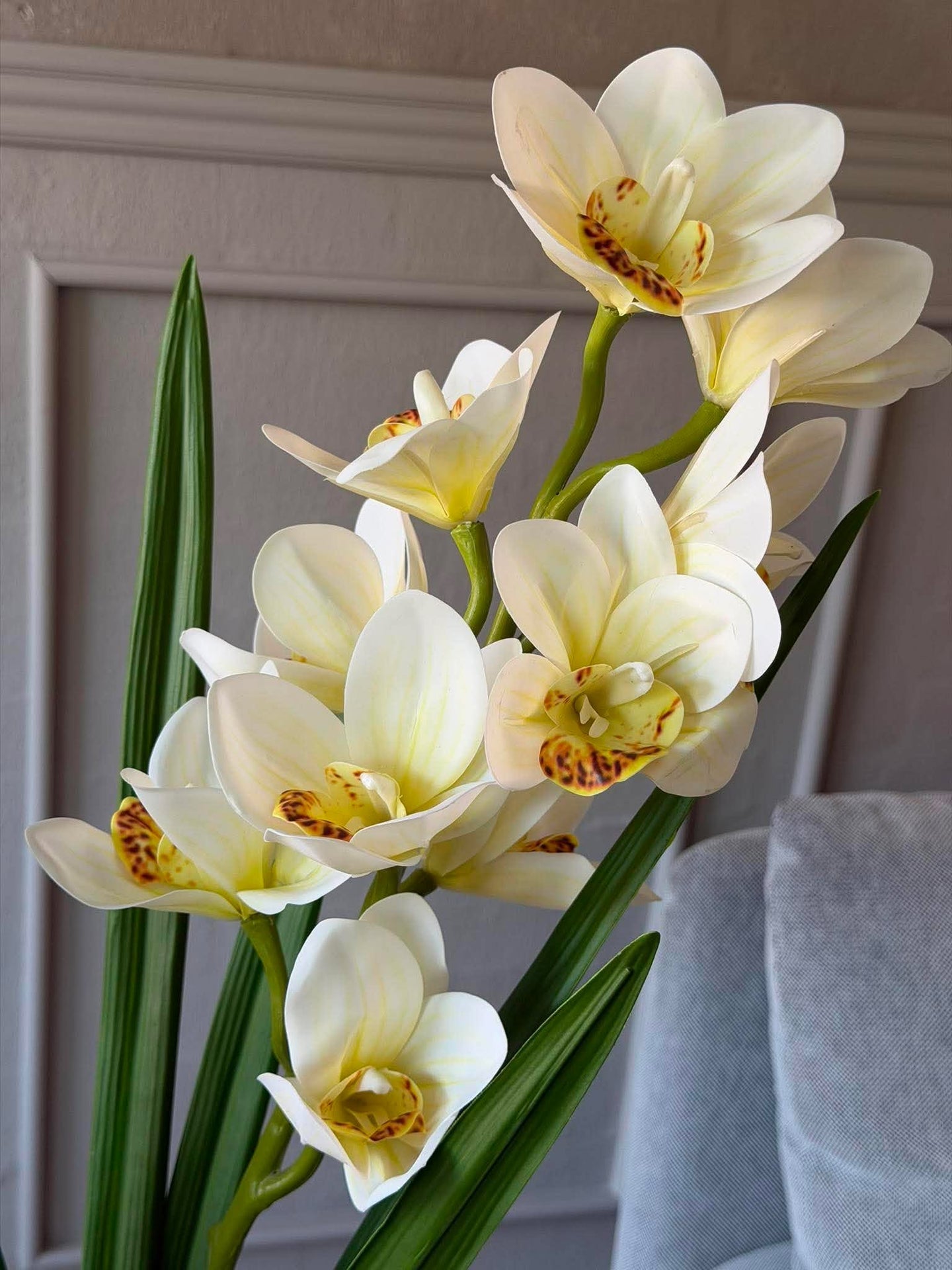 Orchideenstiel - 78 cm weiß / gelb