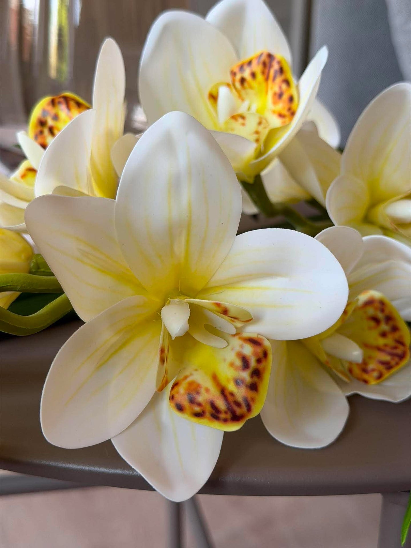 Orchideenstiel - 78 cm weiß / gelb