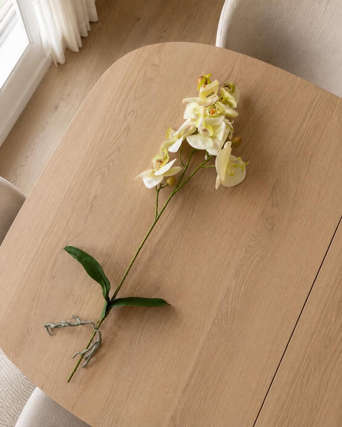 Orchideenstiel - 41 cm - Weiß