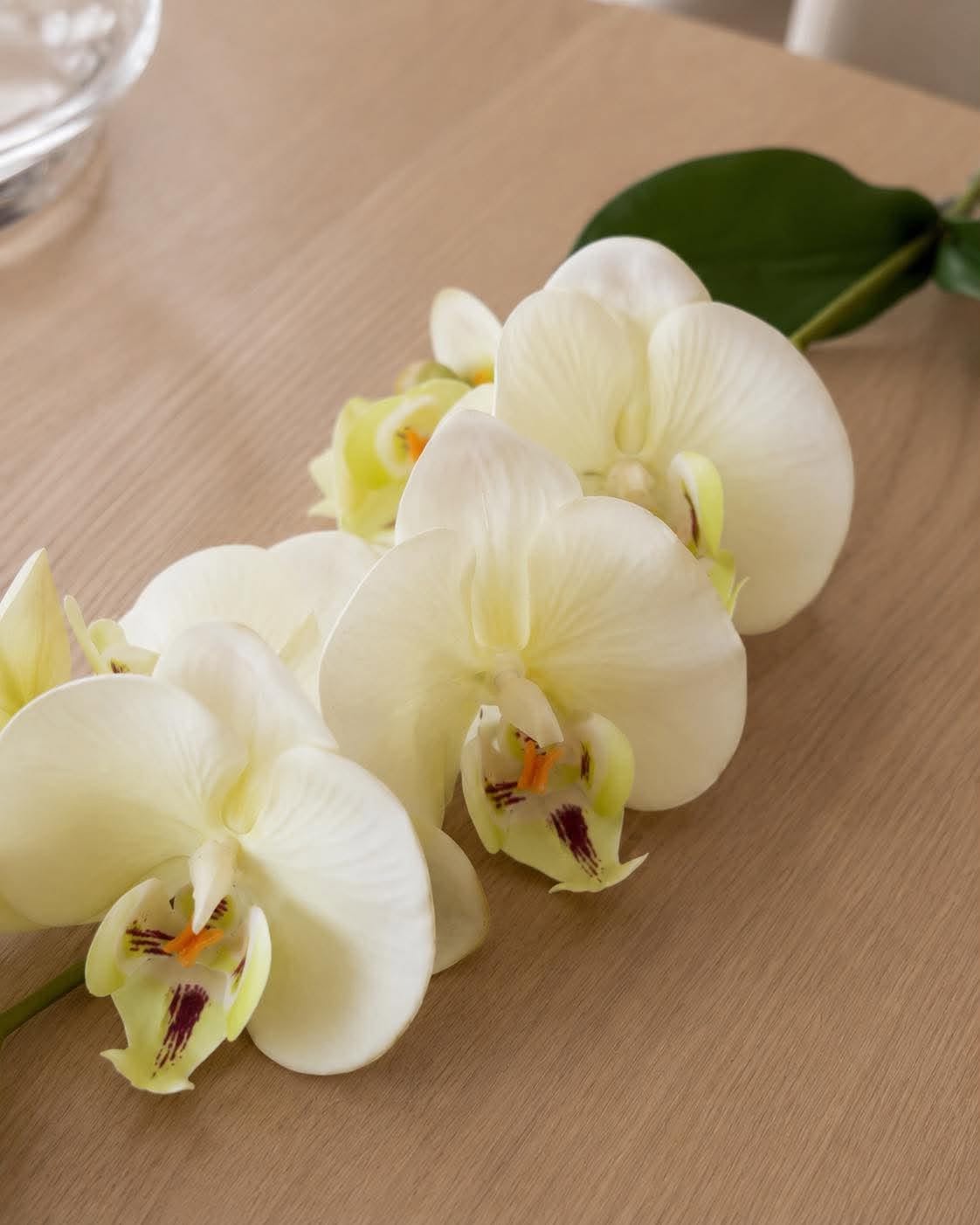 Orchideenstiel - 41 cm - Weiß