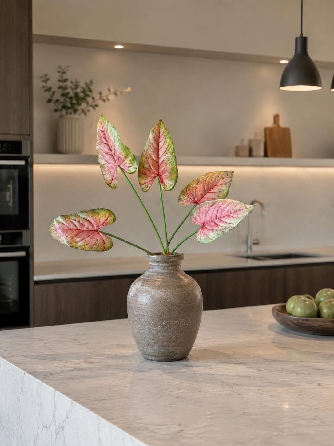 Caladium-Pflanze 66 cm Rosa