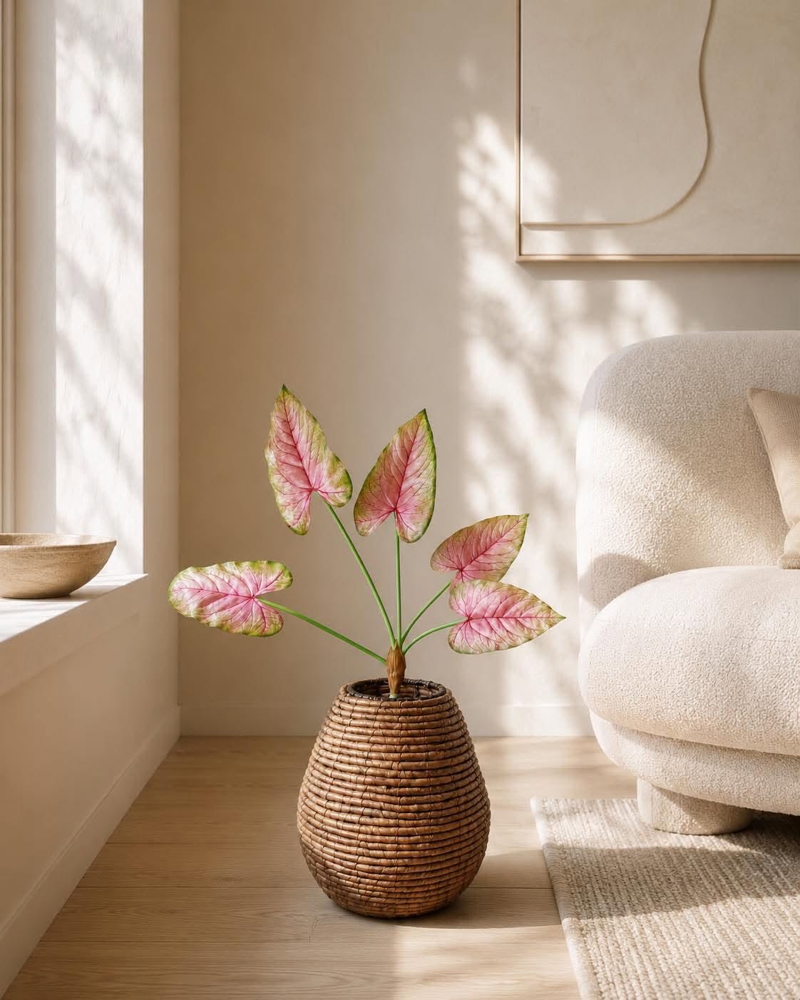 Caladium-Pflanze 66 cm Rosa